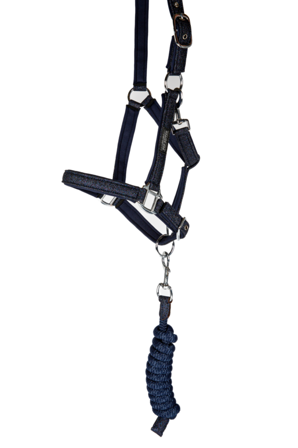 topreiter-halter-glitrandi-blue-studio_1920x1920