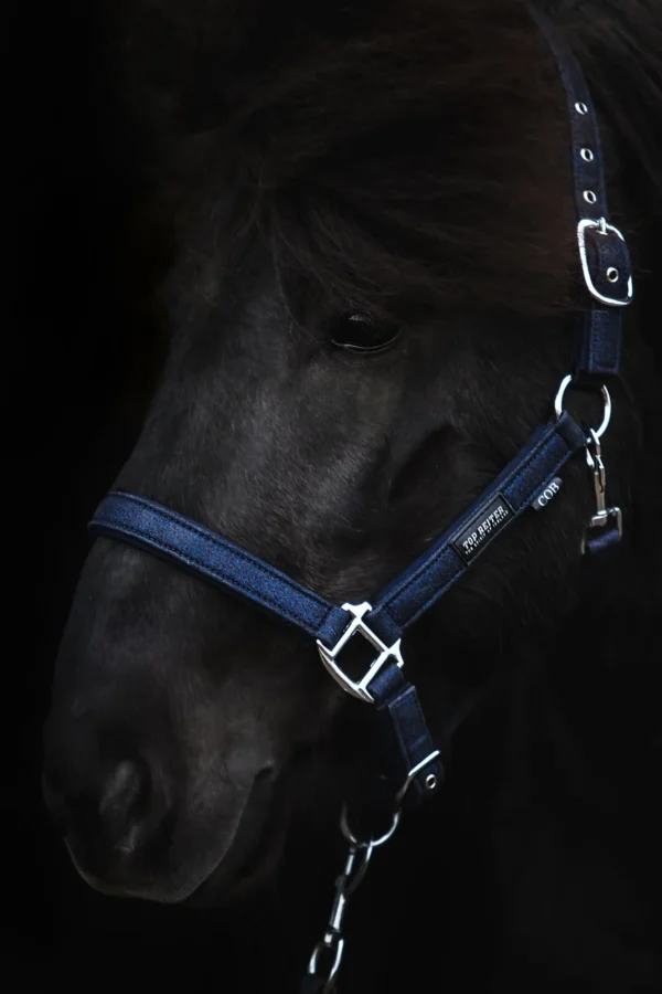 topreiter-halter-glitrandi-blue_1365x2048