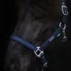 topreiter-halter-glitrandi-blue_1920x1920