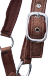 topreiter-halter-glitrandi-copper-cheek_1920x1920