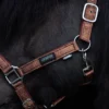 topreiter-halter-glitrandi-copper-horse-side_1365x2048
