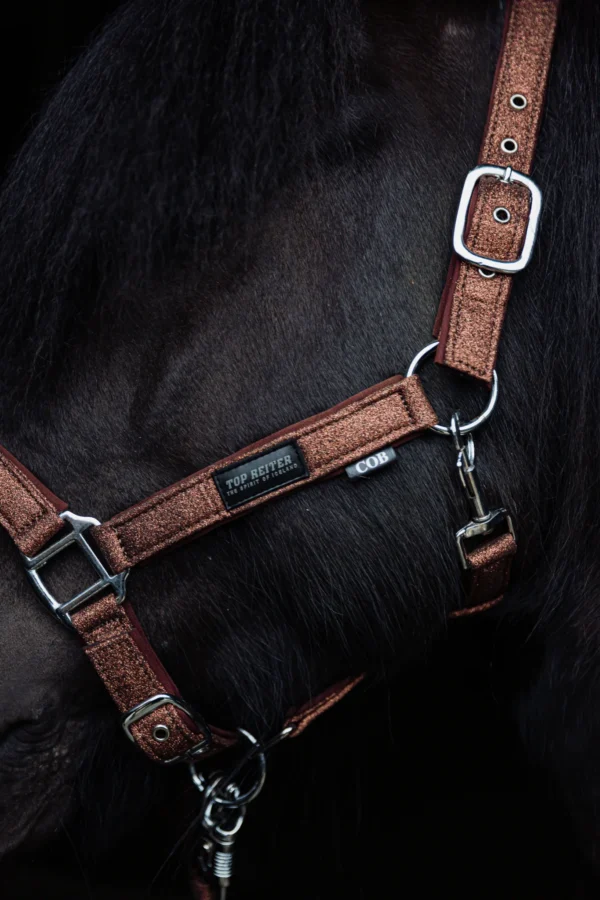 topreiter-halter-glitrandi-copper-horse-side_1365x2048