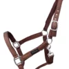 topreiter-halter-glitrandi-copper_1920x1920