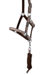 topreiter-halter-glitrandi-pink-studio_1920x1920