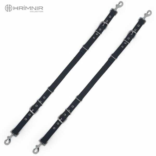 pair_side_reins_watermark