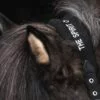 topreiter-halter-klaki-black-detail_1920x1920