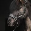 topreiter-halter-klaki-black_1920x1920