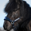 topreiter-halter-klaki-iceland_1920x1920