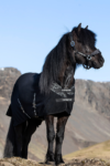 topreiter-horserug-klaki-black_1920x1920