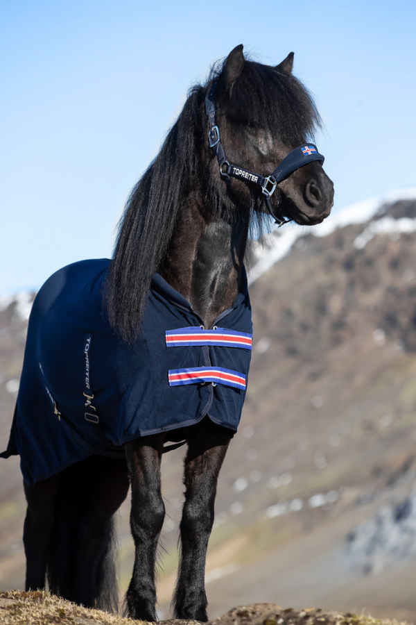 topreiter-horserug-klaki-iceland_1920x1920