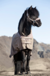 topreiter-horserug-klaki-trufflebrown-front_1920x1920