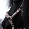 topreiter-klaki-trufflebrown-halter-side_1920x1920