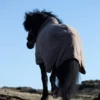 topreiter-rug-klaki-backside_1920x1920