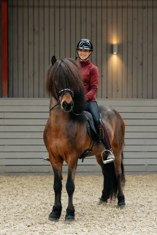 Topreiter-bylgja-burgundy-horse_1365x2046