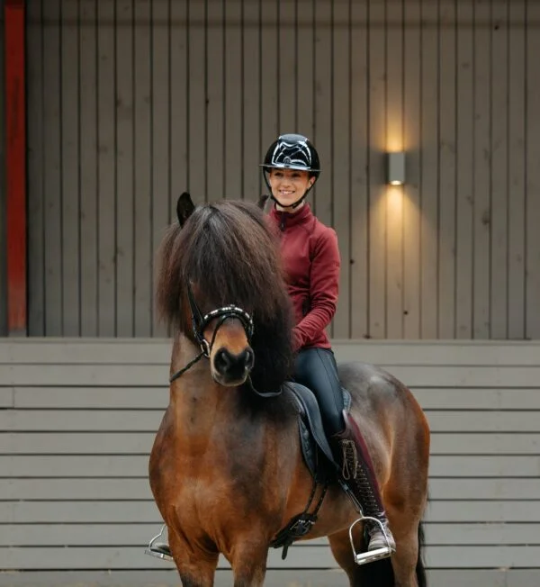 Topreiter-bylgja-burgundy-horse_1365x2046