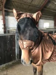 IceTack_Flymask_Brown_1a-scaled
