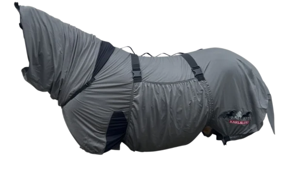 k4301