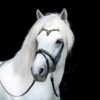 aurora_retouch_flash_noseband_square