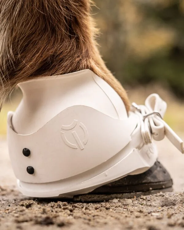 eques_super_boots_on_hoof_new_picture