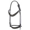 EQ20020-AN-1-Crystal-Curb-Bridle-Regular