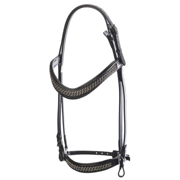 EQ20020-AN-1-Crystal-Curb-Bridle-Regular