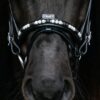 Topreiter-Orka-English-combined-noseband-white_1365x2046