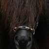 Topreiter-Orka-Hanoverian-noseband-pink-front_1365x2046