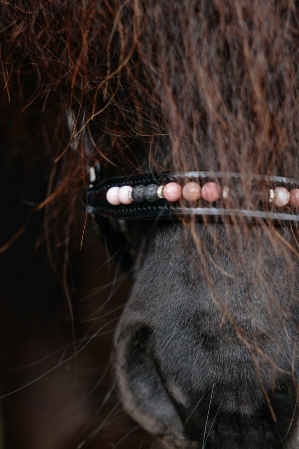 Topreiter-Orka-Hanoverian-noseband-pink_1365x2047 (1)