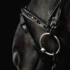 orka noseband-combined-orka-brown-side_1920x1920