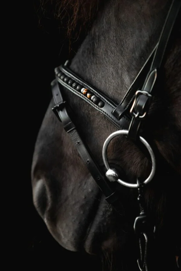 orka noseband-combined-orka-brown-side_1920x1920