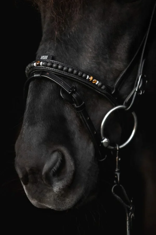 topreiter-english-noseband-combined-orka-brown_1920x1920