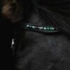 topreiter-orka-headstall-green_1920x1920