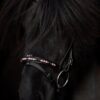 topreiter-orka-headstall-pink-set_1365x2048