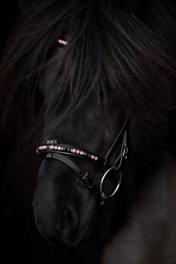 topreiter-orka-headstall-pink-set_1365x2048