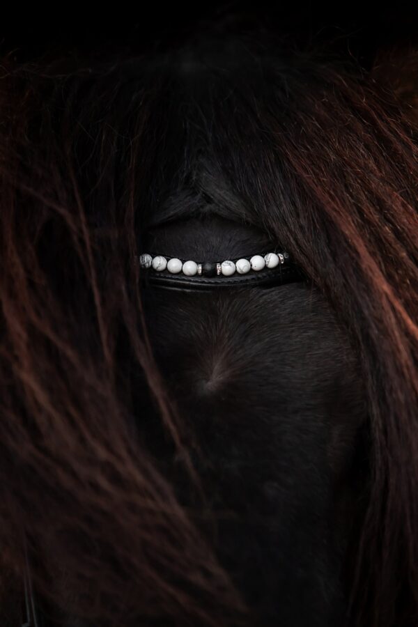 topreiter-orka-headstall-white-_1365x2048