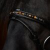 topreiter-orka-noseband-brown-english-combined_1365x2048