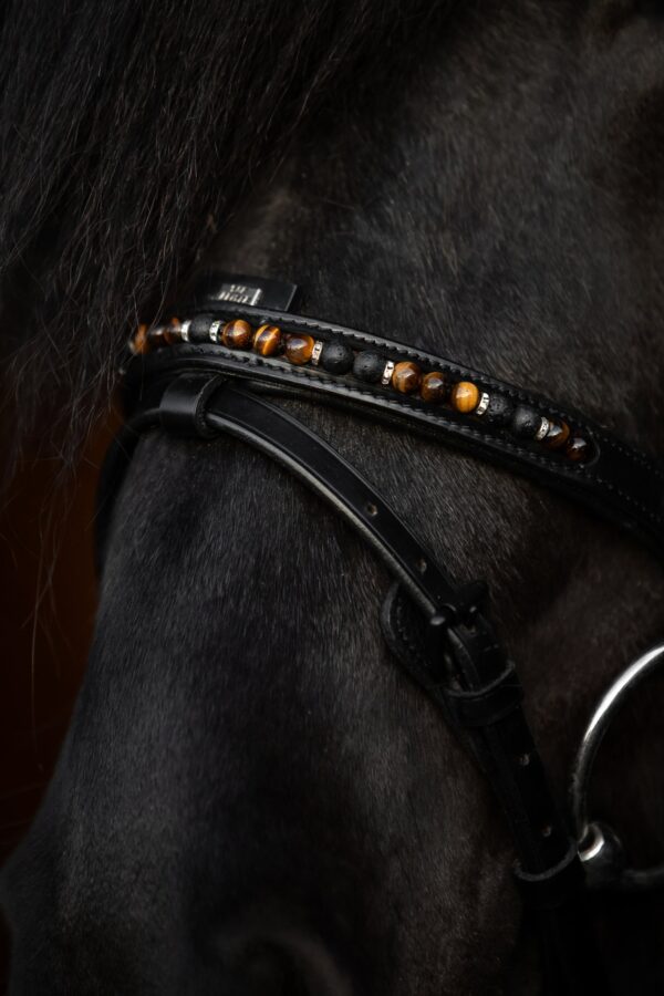 topreiter-orka-noseband-brown-english-combined_1365x2048