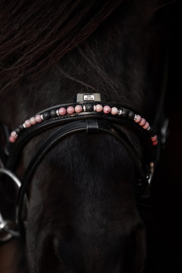 topreiter-orka–noseband-pink-english-combined-detail_1365x2048