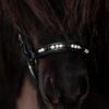 topreiter-orka-noseband-white-hanoverian-detail_1365x2048