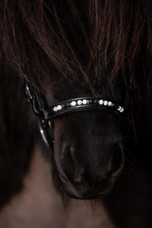 topreiter-orka-noseband-white-hanoverian-detail_1365x2048