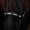 topreiter-orka-noseband-white-hanoverian_1365x2048