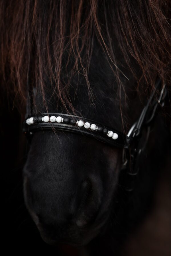 topreiter-orka-noseband-white-hanoverian_1365x2048