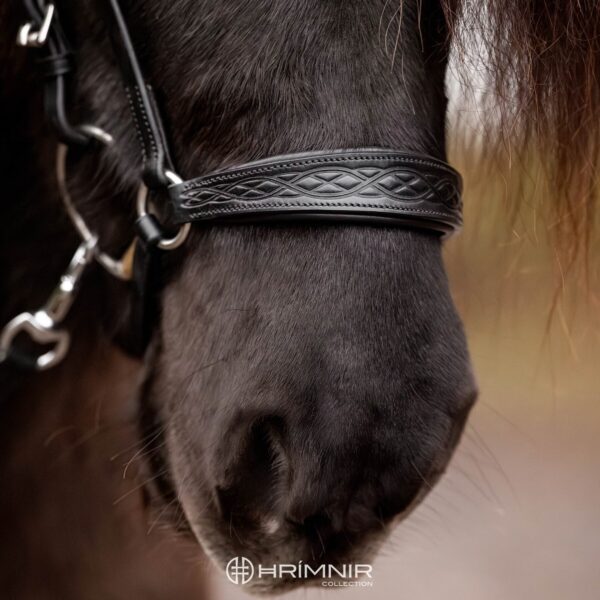 drop_noseband_heritage_1_watermark