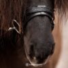 flash_noseband_heritage_1_watermark