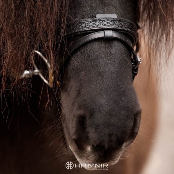 flash_noseband_heritage_1_watermark