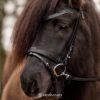 flash_noseband_heritage_2_and_headstall_heritage_classic_watermark