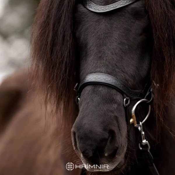 heritage_classic_3_w_anatomic_noseband_watermark (1)