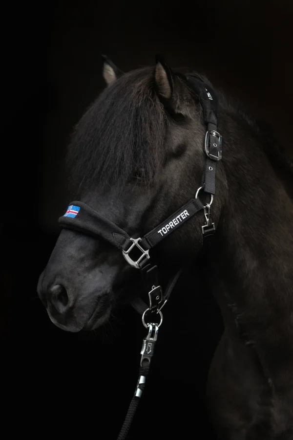 topreiter-halter-klaki-iceland-black_1365x2048