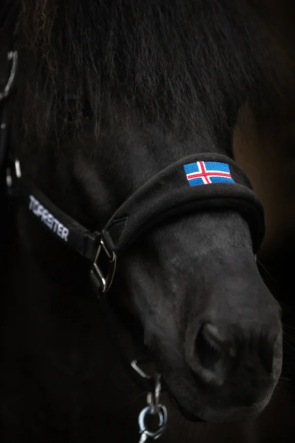 topreiter-halter-klaki-iceland-black_detail_1365x2048