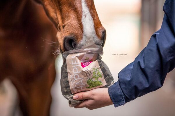 2741d7db-8996-4469-9ae0-04d8b15366c5